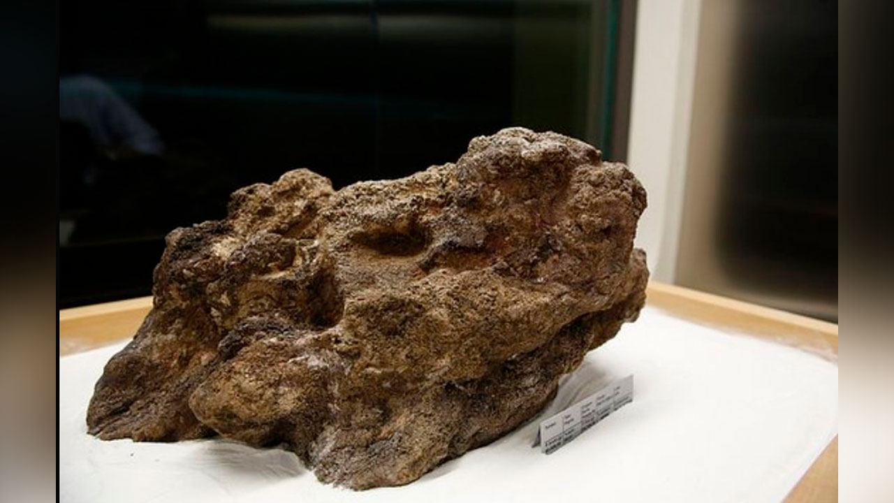 Encontrada em 13 de setembro de 1983 no garimpo de Serra Pelada (PA), a Pepita Canaã pesa 60,8 kg e é o maior exemplar de ouro preservado no mundo.