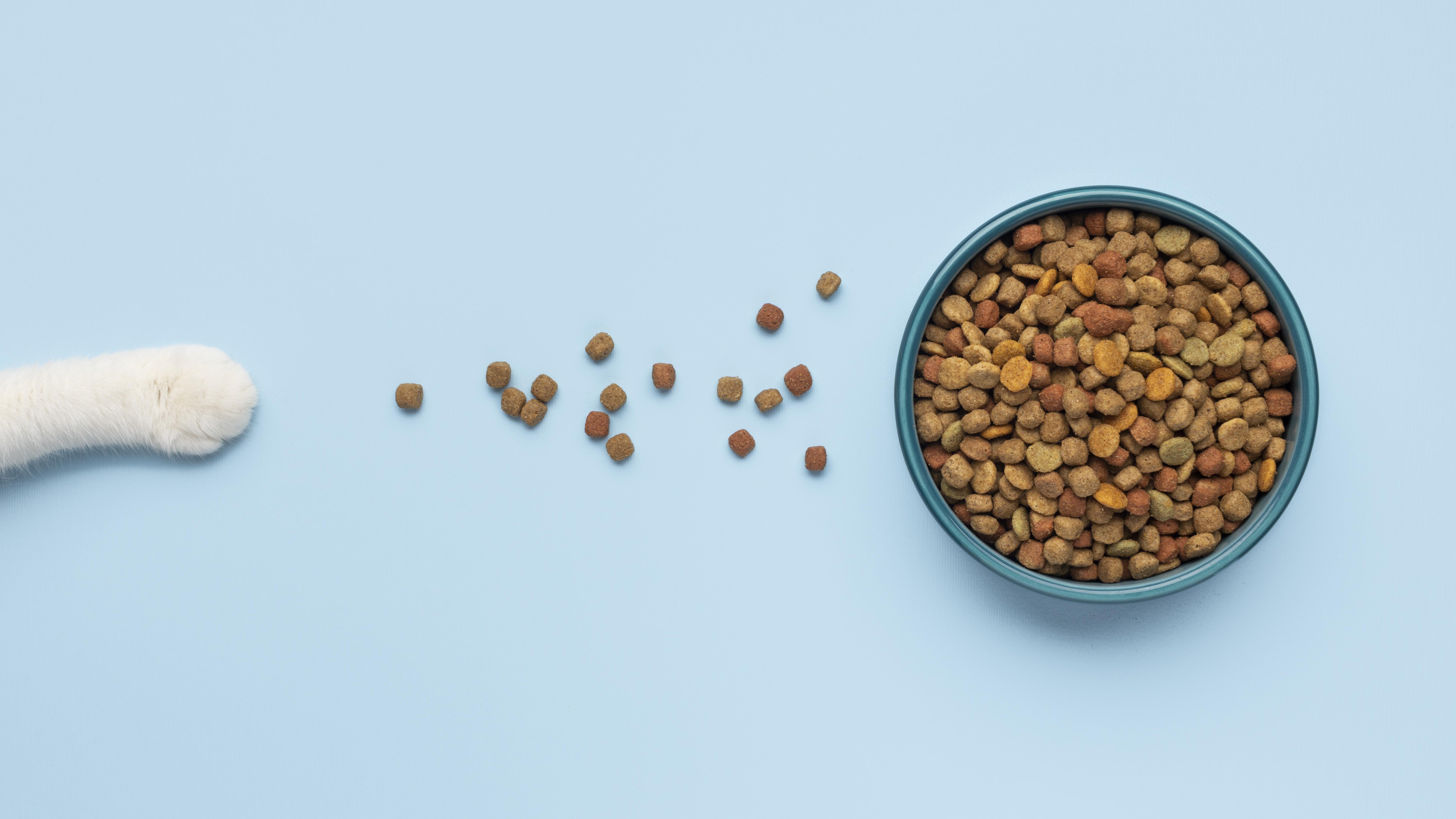 O alimento precisa ser completo e balanceado para a espécie e para a fase de vida do pet.
