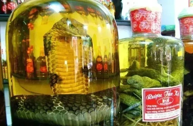 Bebida asiática chama atenção por conter cobra dentro da garrafa de vidro