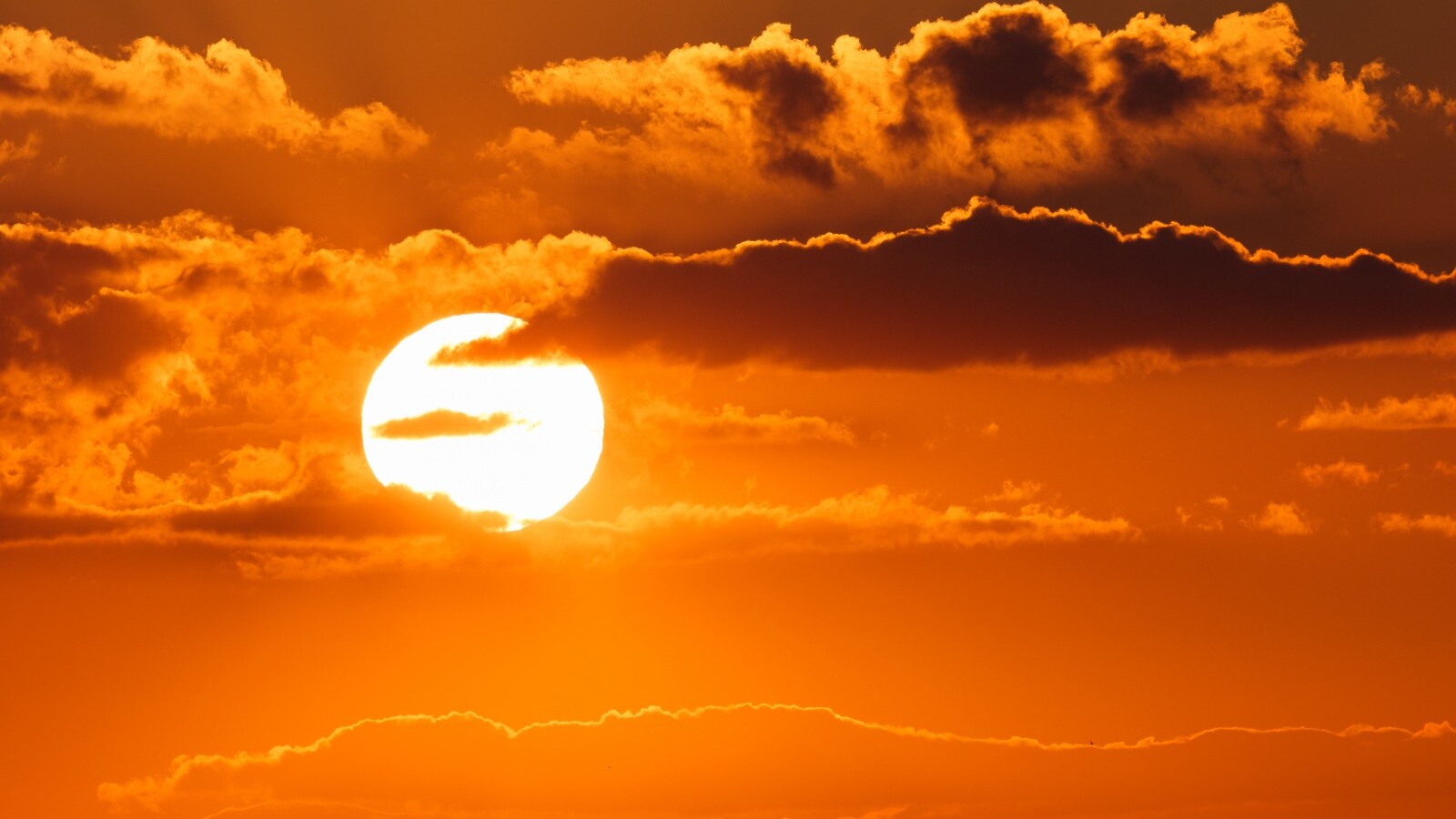 Onda de calor no Brasil atinge 8 estados com temperaturas extremas. Saiba o que isso significa e como se proteger.