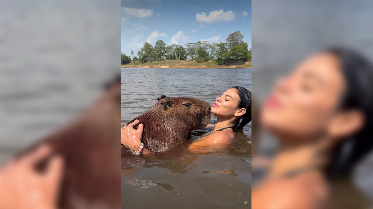 A influenciadora paraense Lia Mendonça viralizou ao compartilhar momentos de carinho com uma capivara, incluindo abraço, mergulho e até um "selinho".