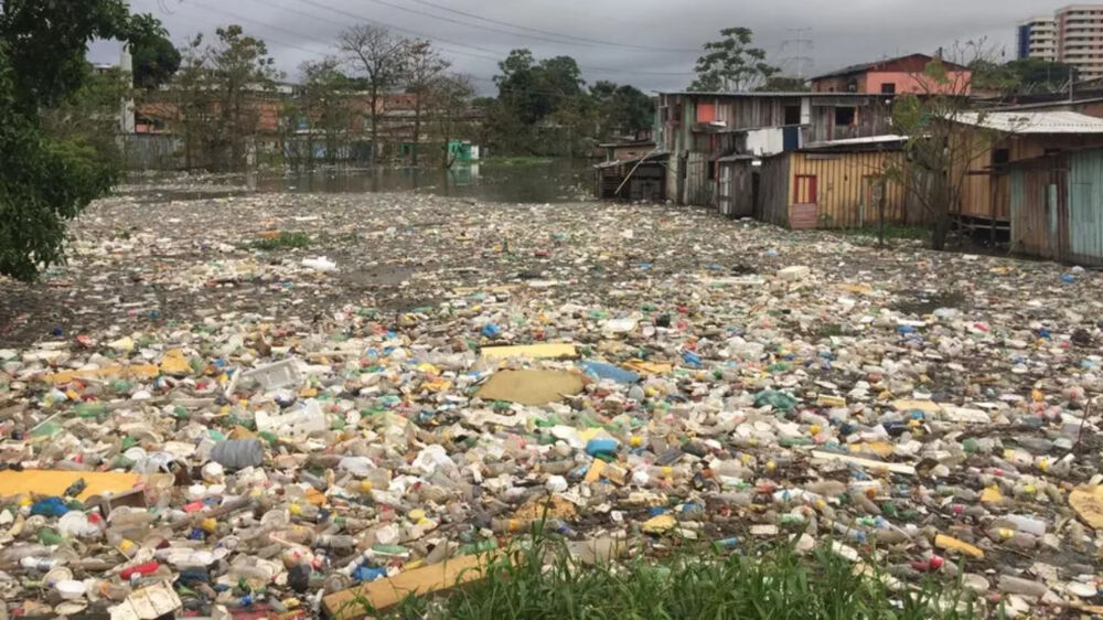 Imagem ilustrativa da notícia: "Tapete de lixo" é formado em Igarapé após chuva em Manaus