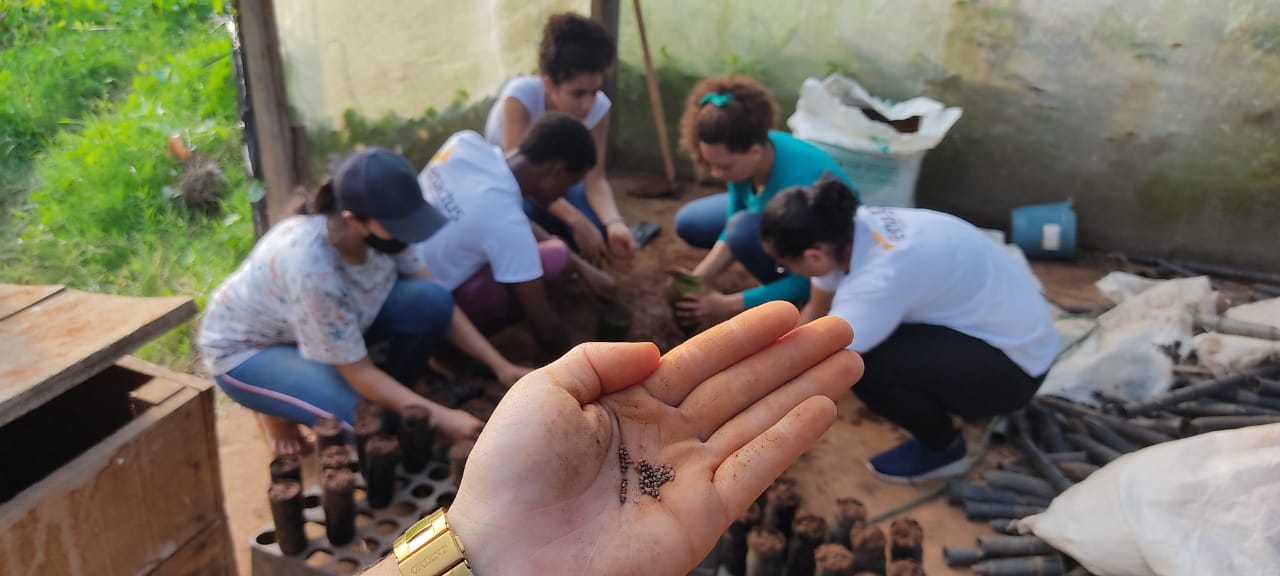 Equipes do Eco Xingu em ação e as mudas feitas de garrafa pet, substituindo os plásticos.