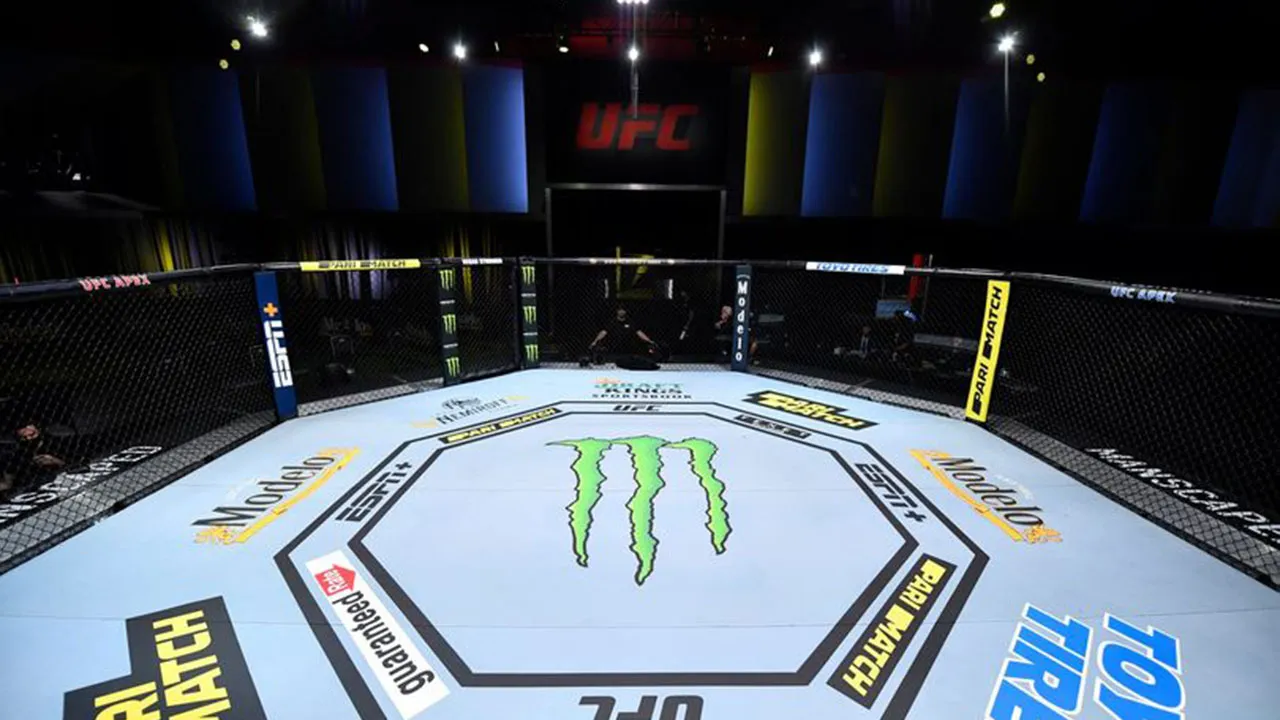 Imagem ilustrativa da notícia: Lutador paraense está fora do UFC Austin; veja o motivo!