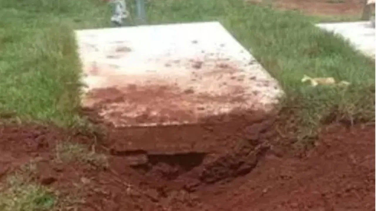 Imagem ilustrativa da notícia: Homem escava túmulo para roubar cabeça da sogra em Goiás