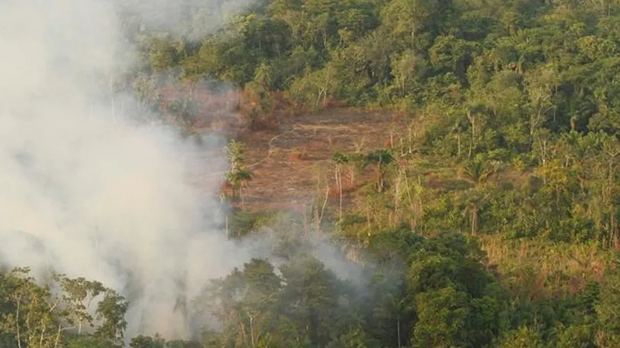 Imagem ilustrativa da notícia: Polícia prende maior desmatador de floresta protegida do PA