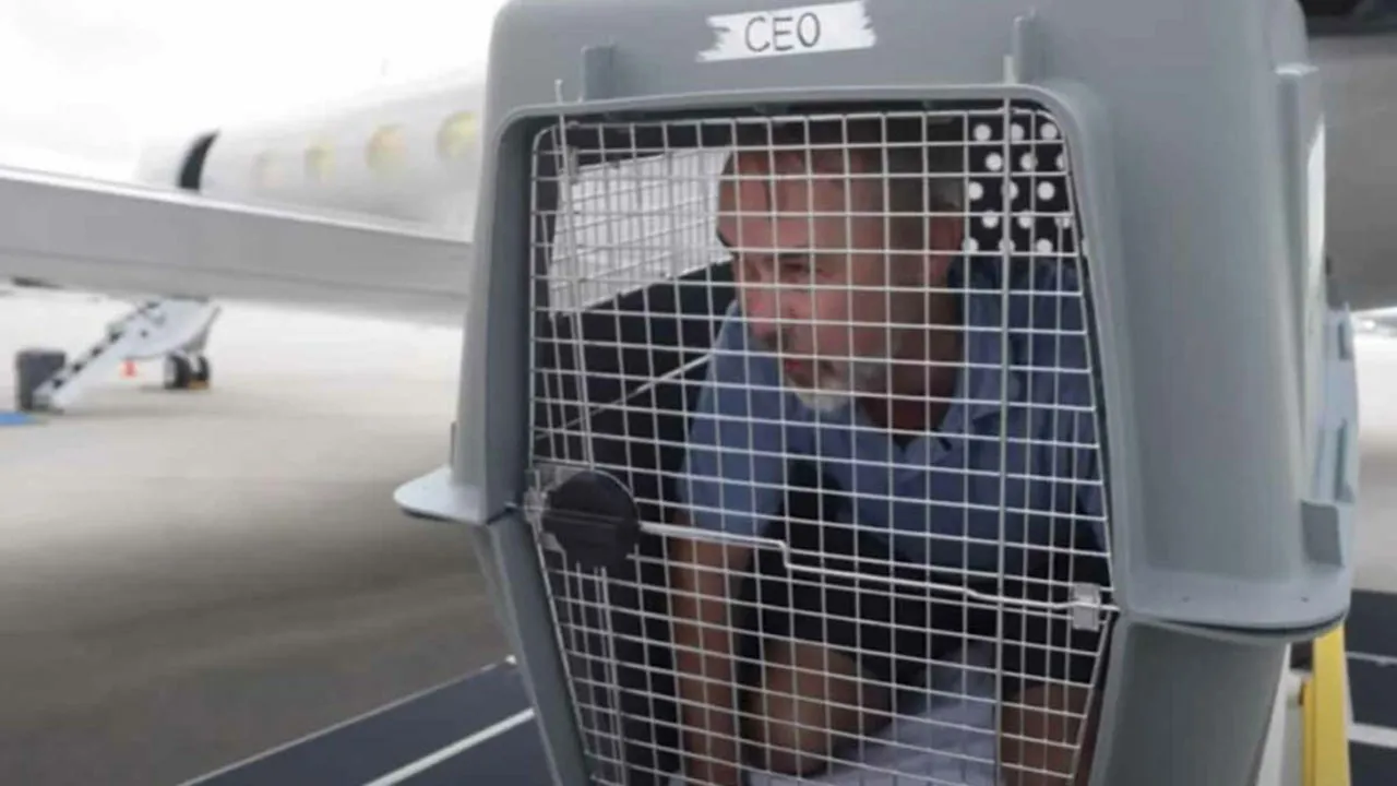 Imagem ilustrativa da notícia: CEO de empresa aérea experimenta viajar em caixa para pets