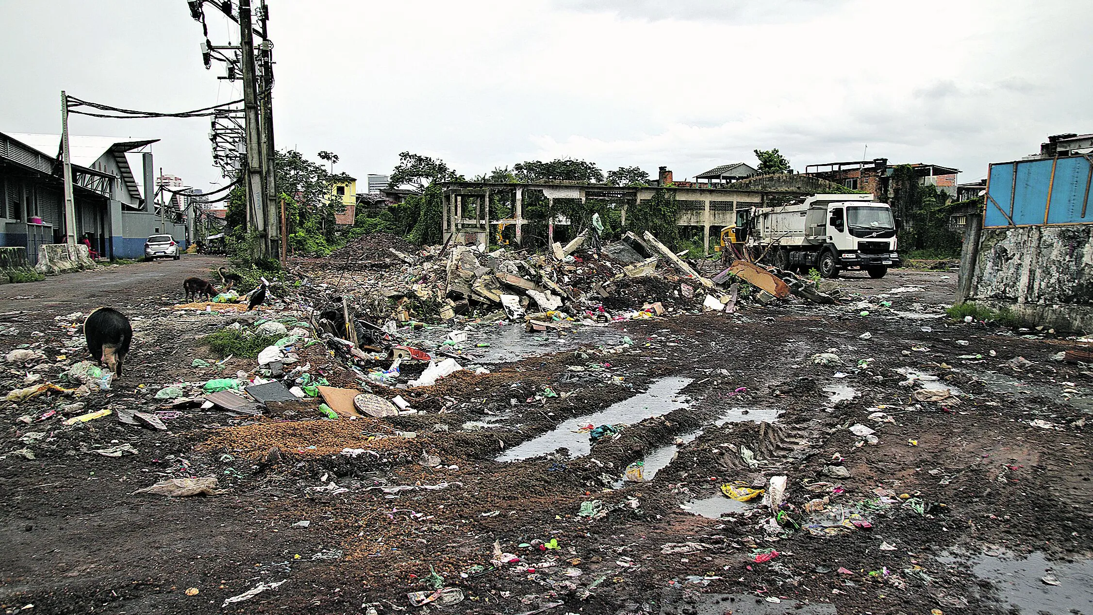 Imagem ilustrativa da notícia: Lixo e buracos, uma rotina sem fim na capital