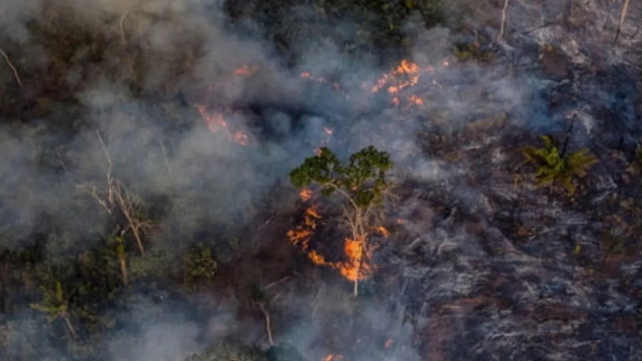 Imagem ilustrativa da notícia: Seca faz indígenas temerem falta de alimentos e queimadas