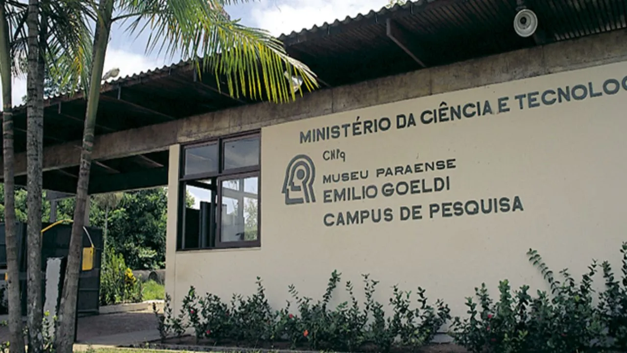 Imagem ilustrativa da notícia: Museu Emílio Goeldi abre vagas para estágio em Belém
