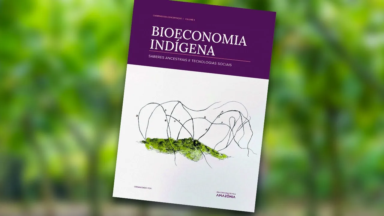 Imagem ilustrativa da notícia: Povos indígenas assumem protagonismo na bioeconomia