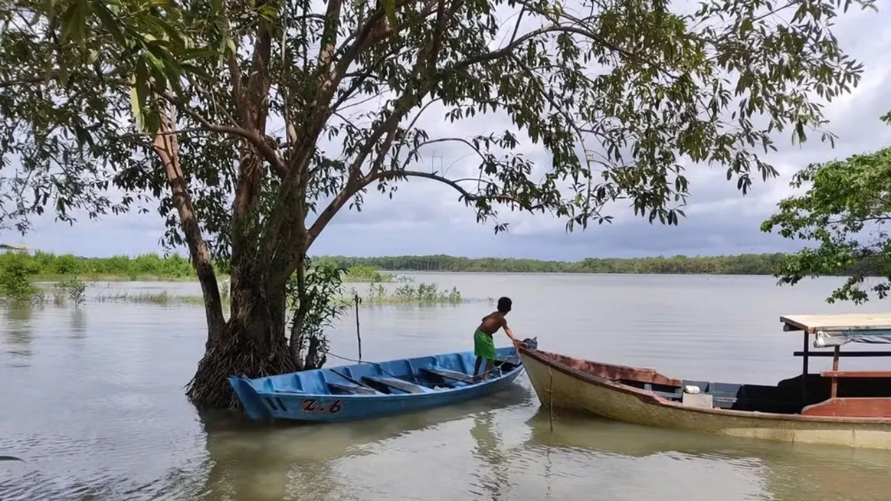 Imagem ilustrativa da notícia: Uso ilegal de lanchas faz ilha desaparecer no Pará