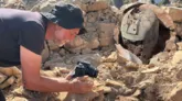 Imagens da escavação e do capacete greco-ilírio encontrado na Croácia