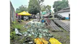 Imagem ilustrativa da notícia Saiba tudo sobre os africanos mortos em barco no Pará