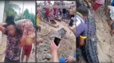 No vídeo, moradores aparecem matando o animal a golpes de machado.