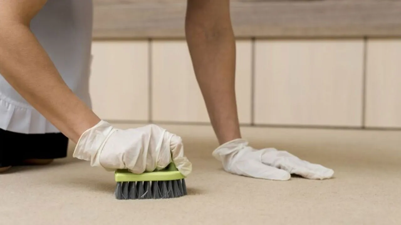 Imagem ilustrativa da notícia: Três hábitos de limpeza que parecem corretos, mas não são