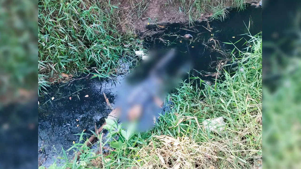 Imagem ilustrativa da notícia: Corpo de homem é encontrado dentro de vala em Marabá