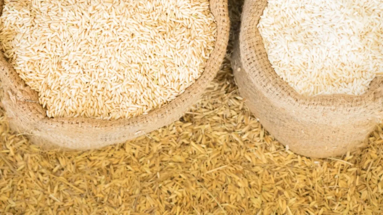 Imagem ilustrativa da notícia: PGR deve investigar suspeita de fraude na compra de arroz 