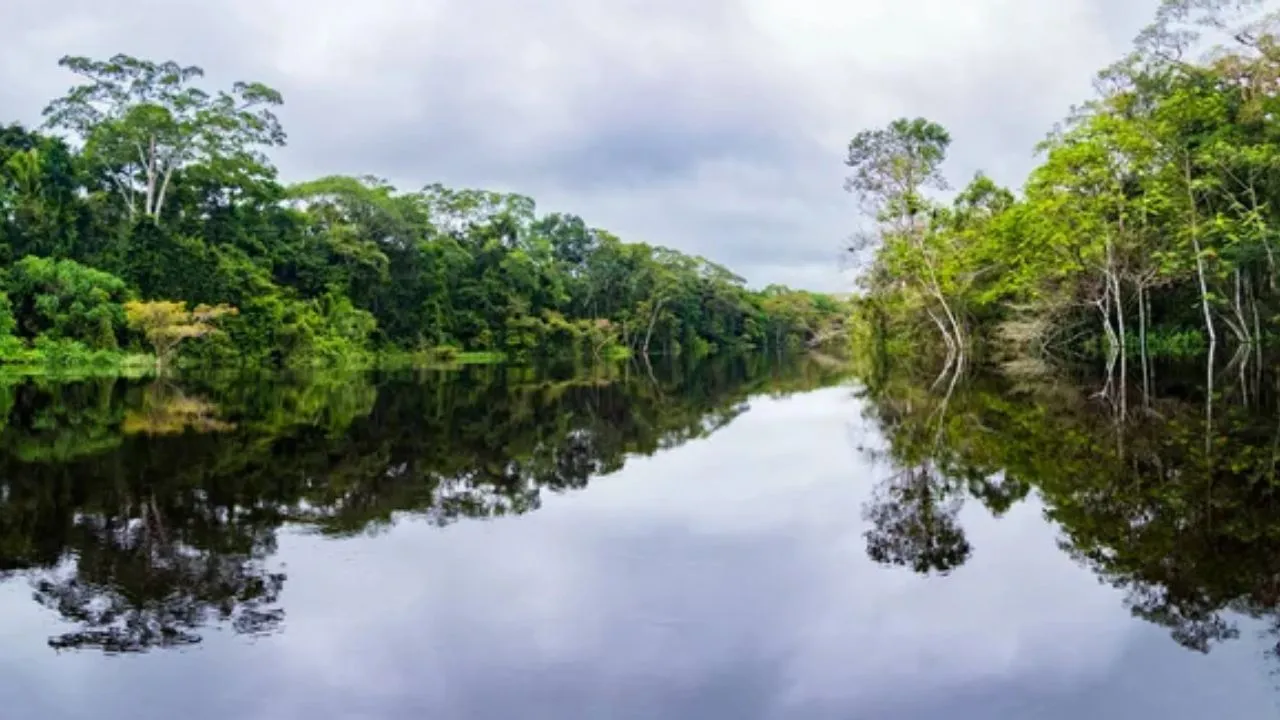 Imagem ilustrativa da notícia: Relatório orienta como proteger a floresta Amazônica 