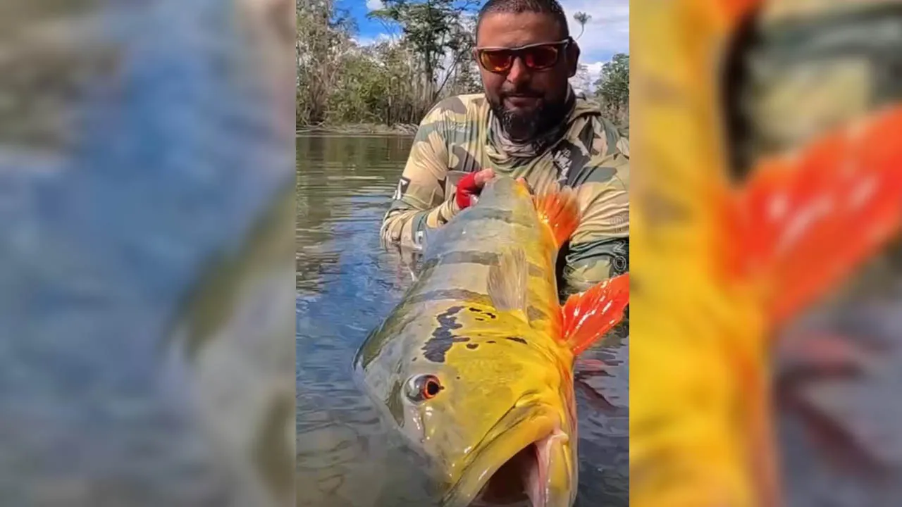 Imagem ilustrativa da notícia: Bonna: documentário sobre pesca esportiva no Pará é destaque