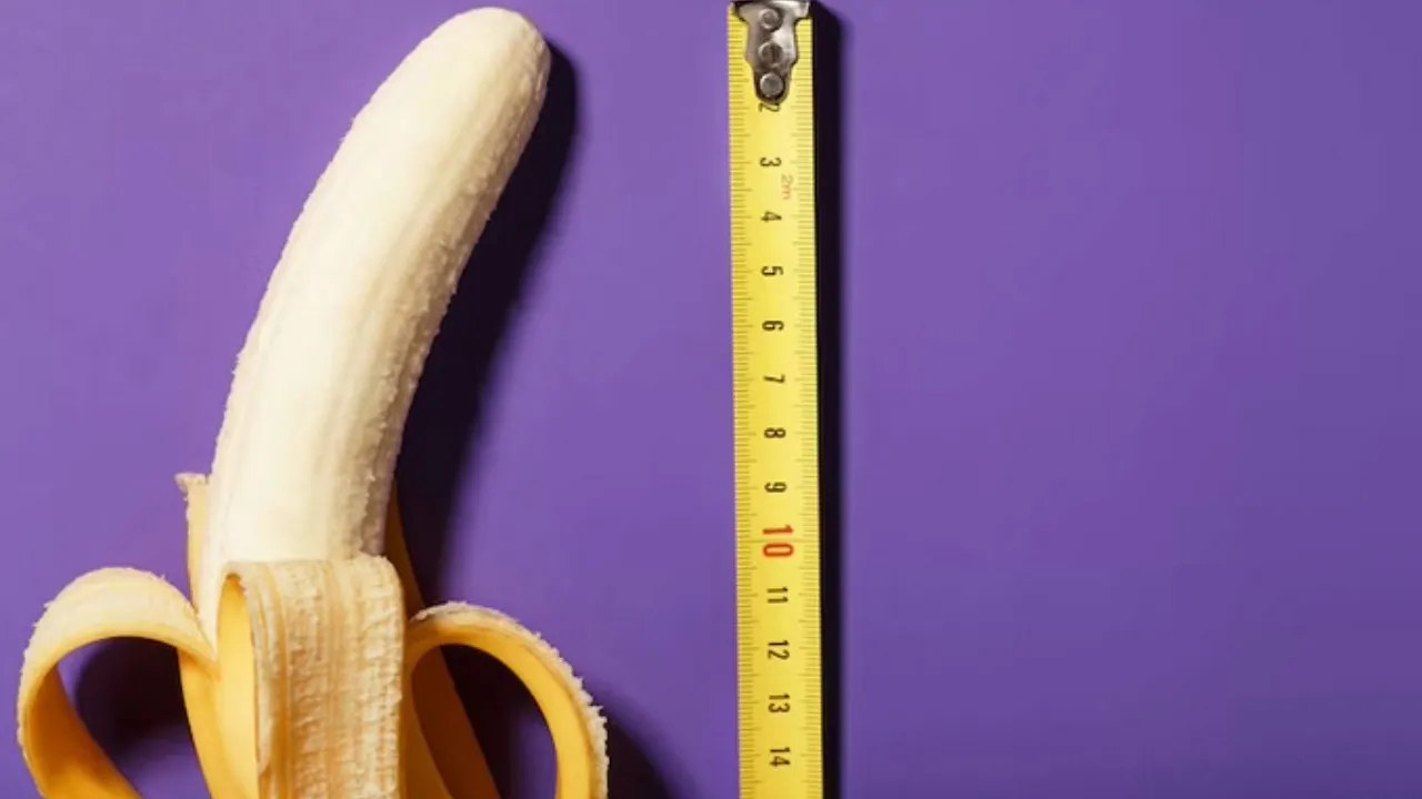 Imagem ilustrativa da notícia: Brasil é o 20º com maior tamanho médio de pênis
