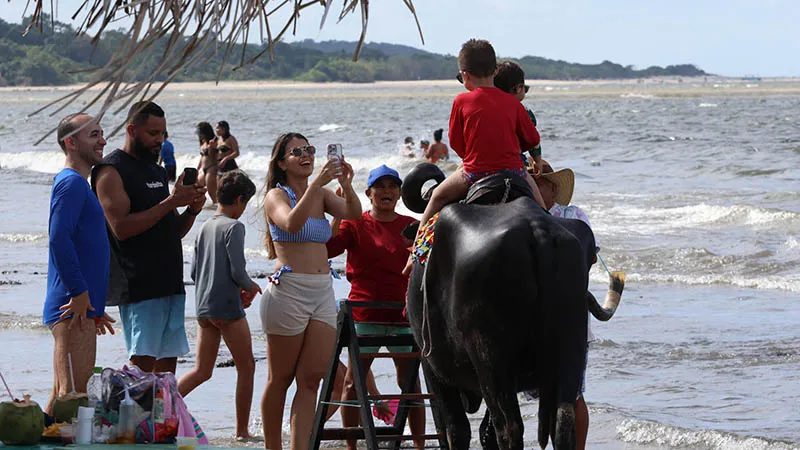 Turistas posam com búfalos