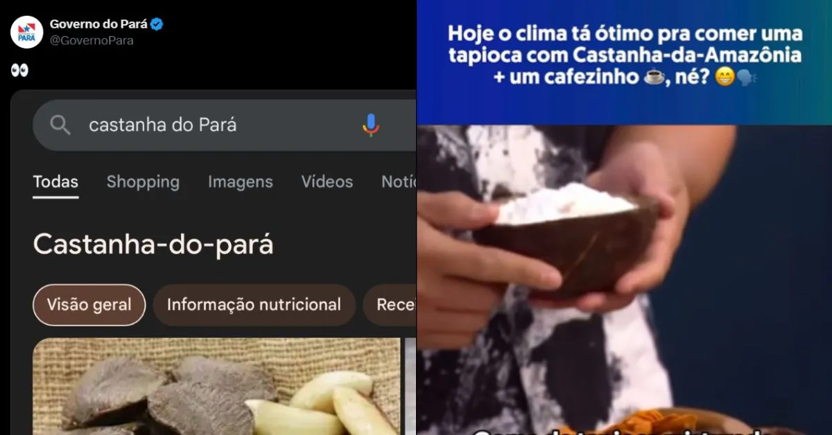Imagem ilustrativa da notícia: Na internet, amazonenses provocam paraenses na "guerra da castanha" 