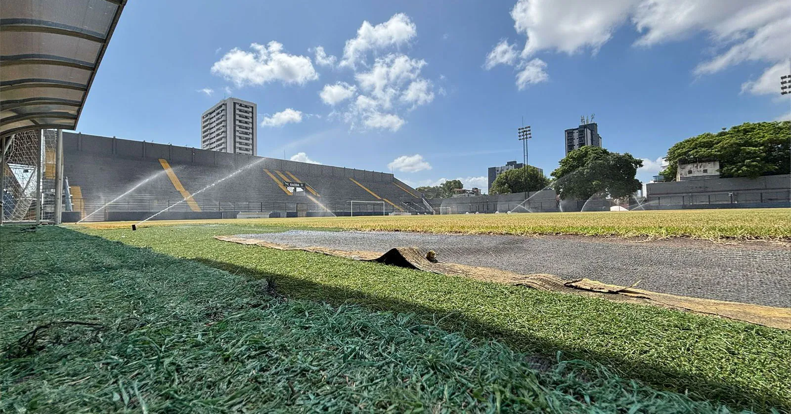 Imagem ilustrativa da notícia: Clube do Remo investe na recuperação do gramado do Baenão