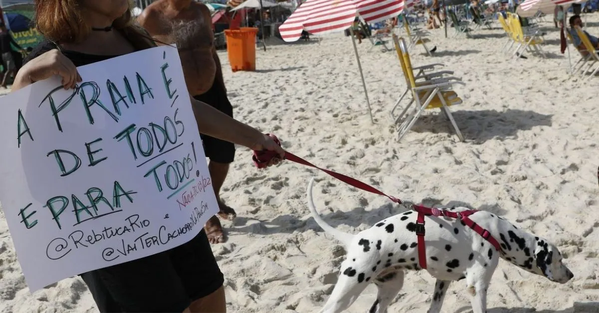 Imagem ilustrativa da notícia: União discute demarcar terrenos próximos a praias em SP