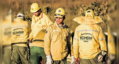 Imagem ilustrativa da notícia: ICMBio: edital em dezembro com salário de quase R$ 12 mil