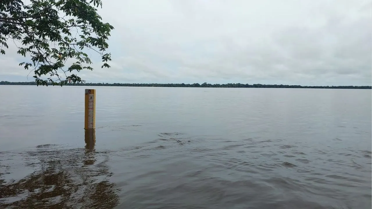 Imagem ilustrativa da notícia: Chuvas intensas elevam nível do Rio Tocantins em Marabá