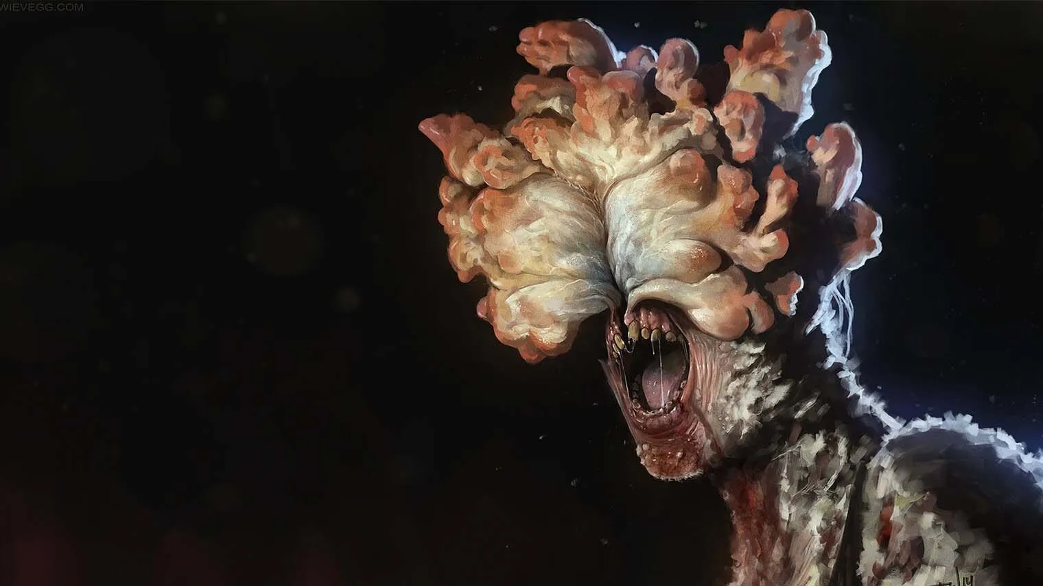 Imagem ilustrativa da notícia: The Last of Us? Fungo ataca e transforma aranha em zumbi