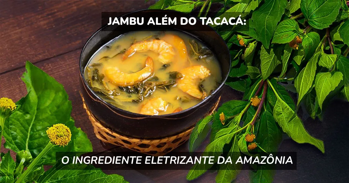 Imagem ilustrativa do podcast: Jambu além do tacacá: o ingrediente eletrizante da Amazônia