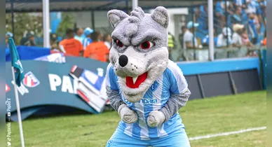 Imagem ilustrativa da notícia: Paysandu encerra 1º turno em recuperação; veja os números