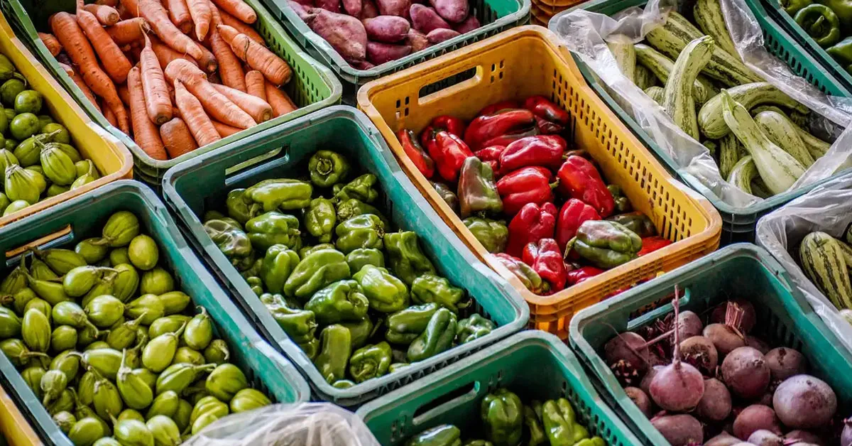 Imagem ilustrativa da notícia: Nutricionista alerta sobre riscos de consumir alimentos crus