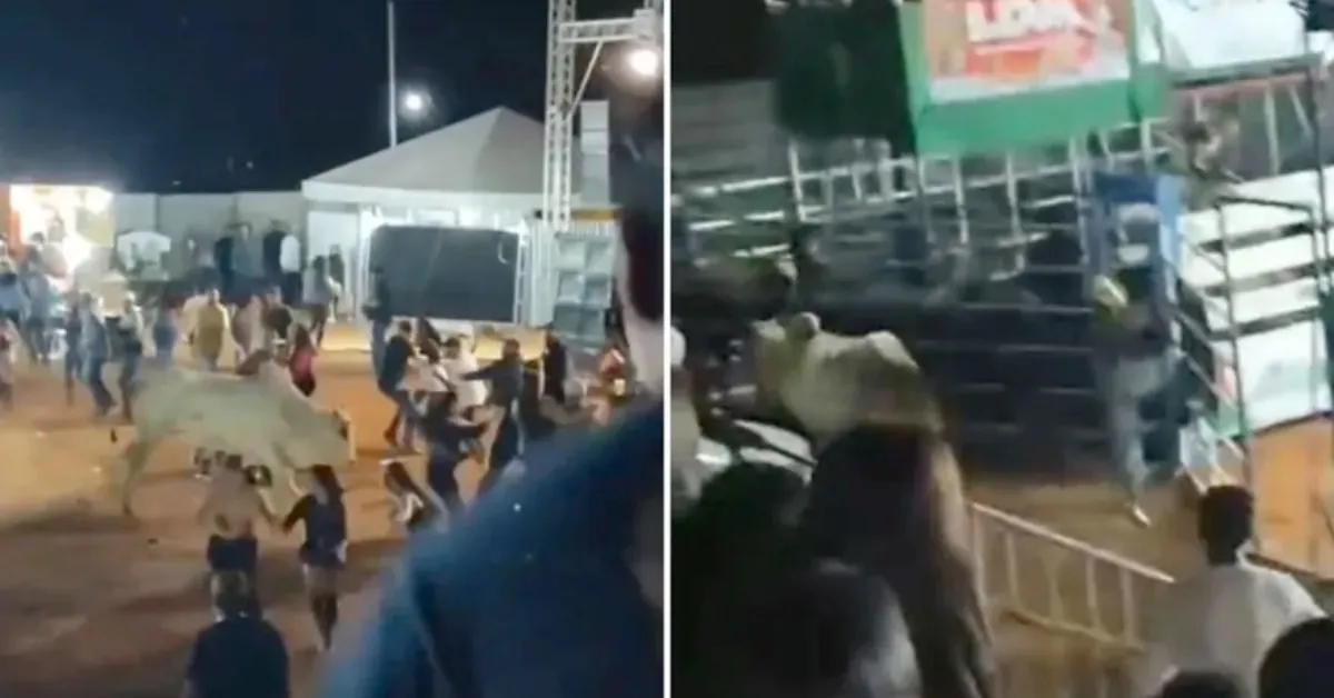 Imagem ilustrativa da notícia: Vídeo: touro invade arquibancada e causa correria em rodeio 