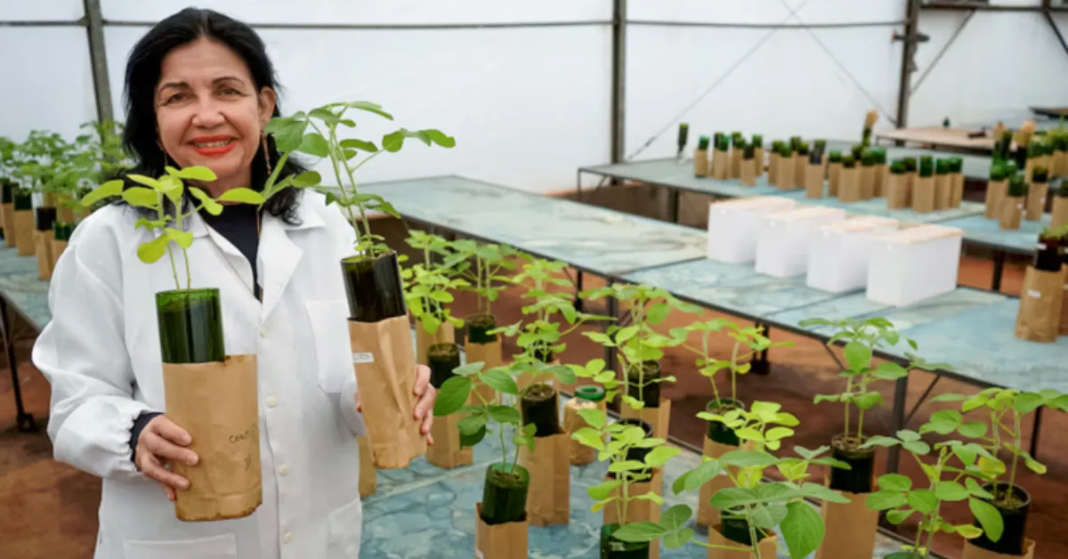 Imagem ilustrativa da notícia: Engenheira é 1ª brasileira a ganhar o “Nobel da Agricultura”