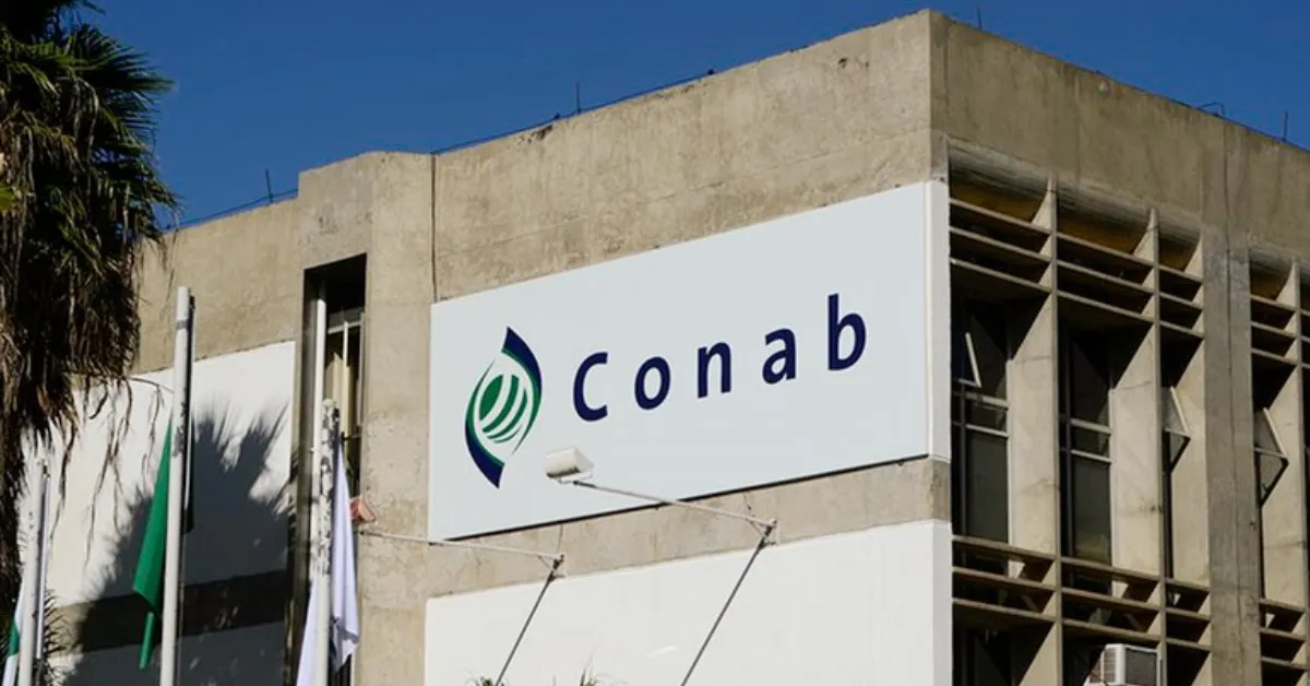 Imagem ilustrativa da notícia: Concurso Conab: 403 vagas e salários de até R$ 8 mil; inscrições até 15 de maio