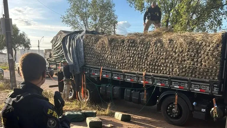 Imagem ilustrativa da notícia: PRF apreende meia tonelada de cocaína em carga de abacaxi