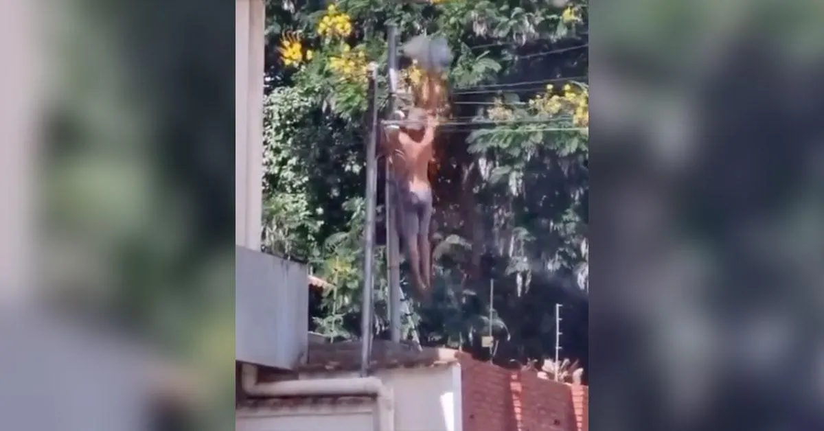 Imagem ilustrativa da notícia: Imagens fortes: homem leva descarga elétrica ao roubar fios