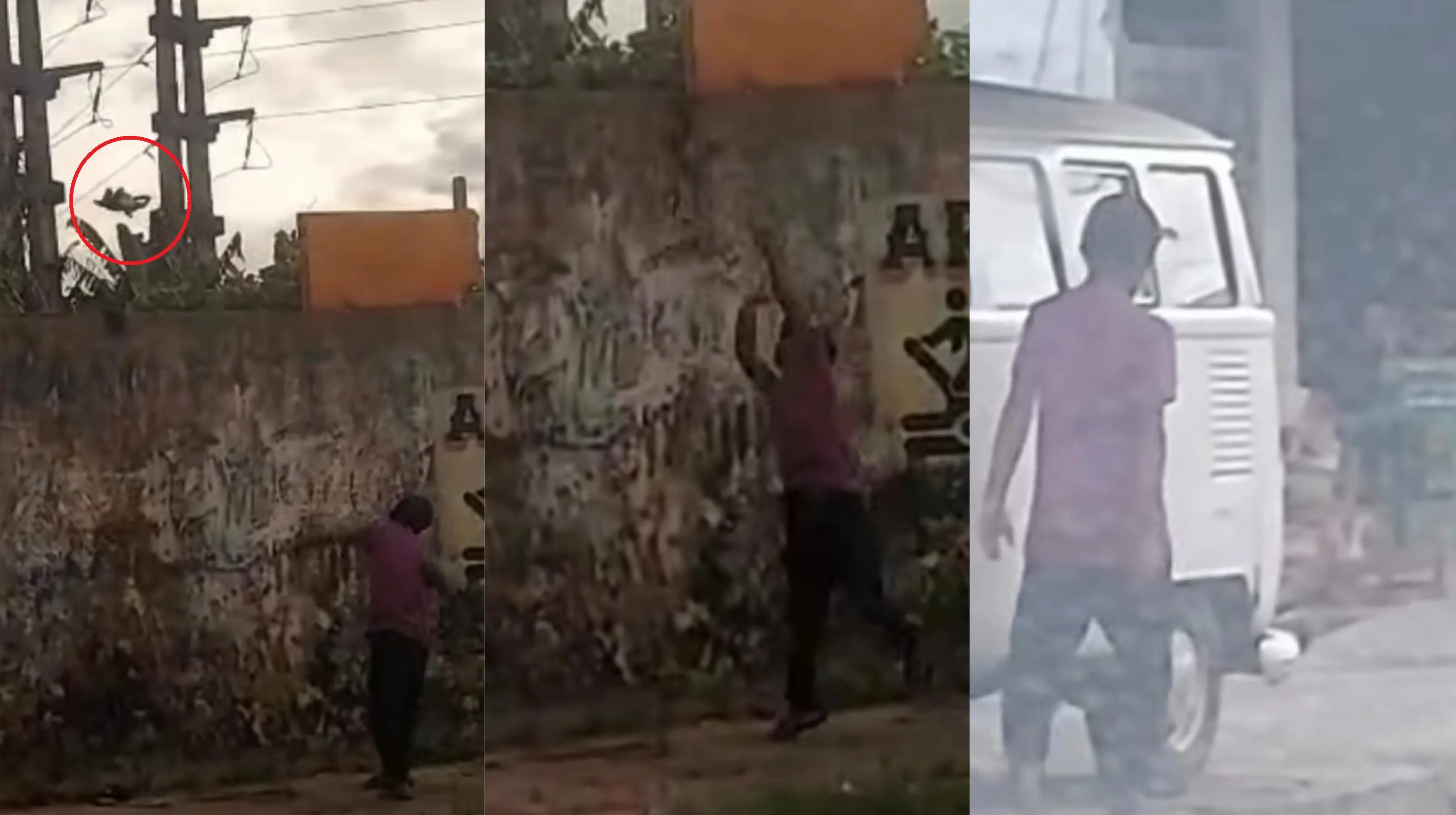 Imagem ilustrativa da notícia: Homem é flagrado arremessando cão por cima de muro