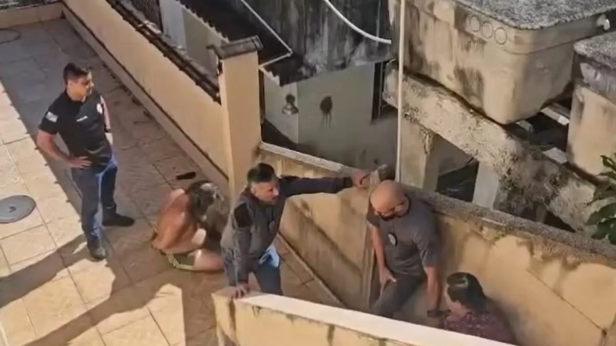 Imagem ilustrativa da notícia: “Joguei no lixo”, diz filho que manteve corpo do pai morto em casa