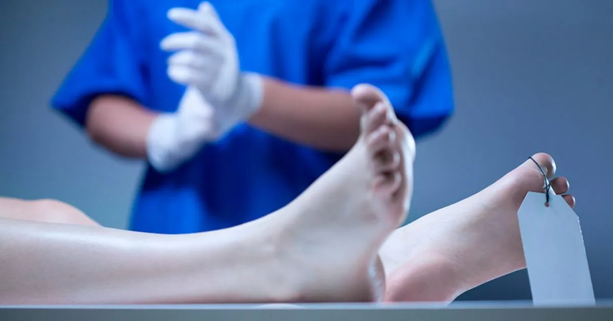 Imagem ilustrativa da notícia: Entenda as técnicas de preservação do corpo após a morte
