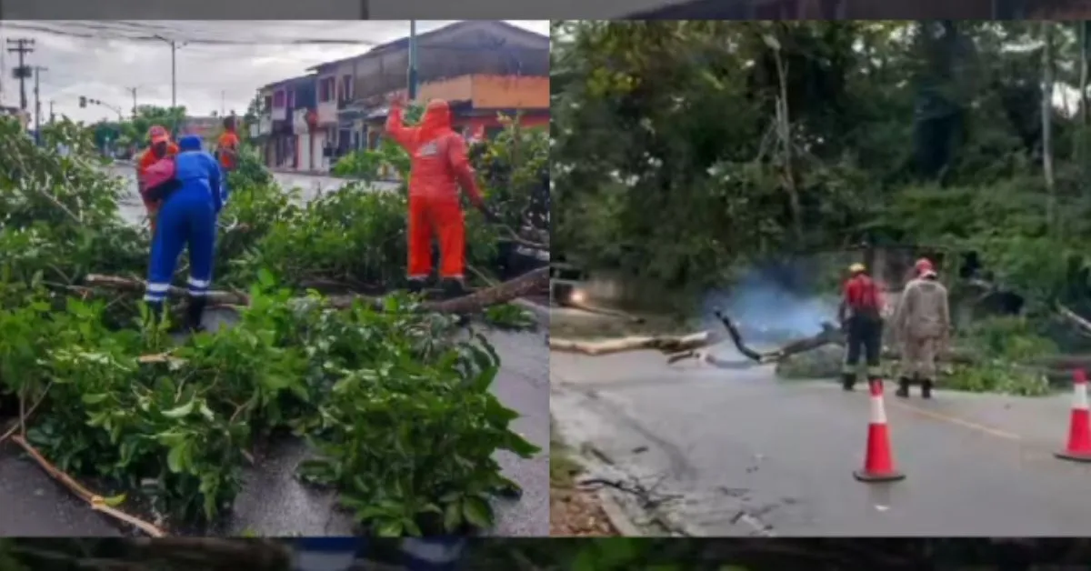 Imagem ilustrativa da notícia: Chuva forte causa estragos em Bragança