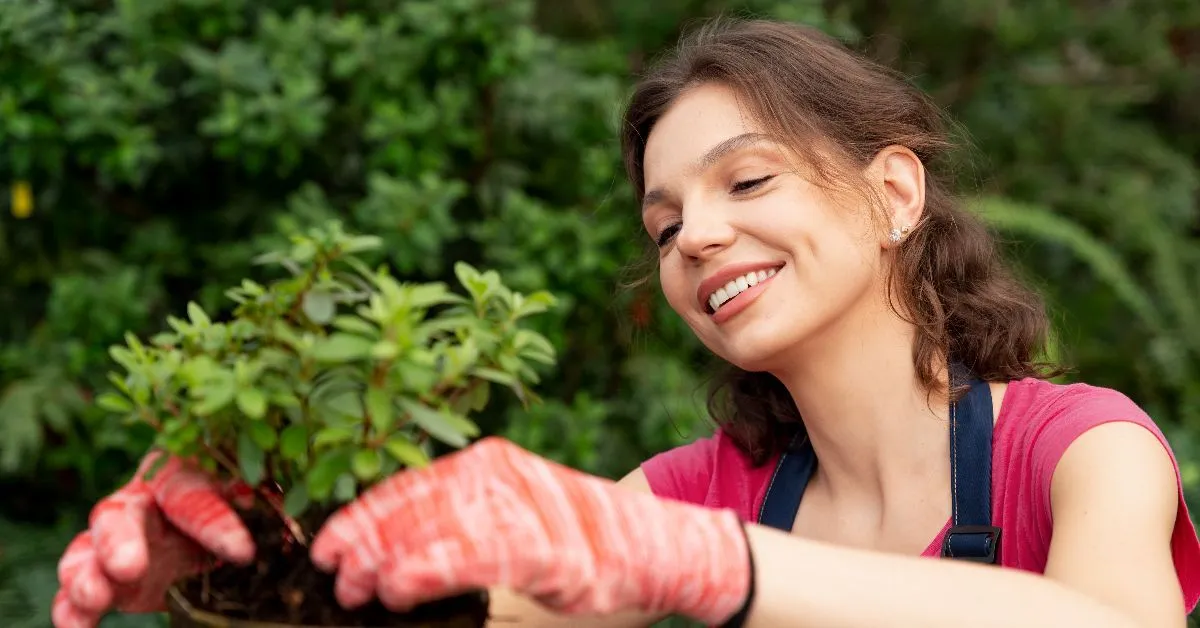 Imagem ilustrativa da notícia: Como cuidar de plantas ajuda a viver mais e melhor