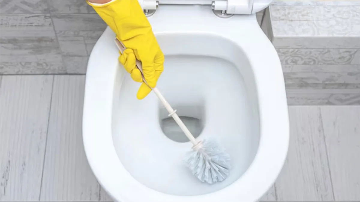 Imagem ilustrativa da notícia: Não use papel higiênico para limpar a privada! Veja os riscos