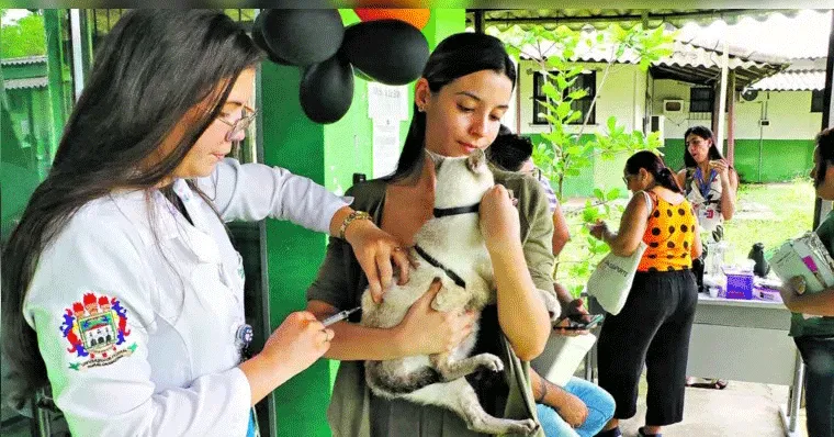 Imagem ilustrativa da notícia: Ação da Ufra tem vacinação e cuidados veterinários gratuitos