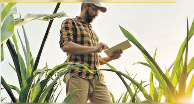 Imagem ilustrativa da notícia: O Agronegócio está contratando. Saiba detalhes!