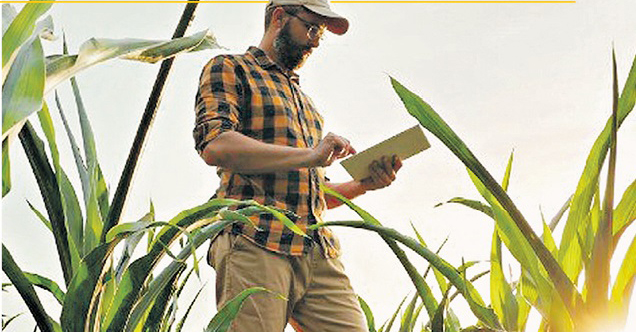 Imagem ilustrativa da notícia: O Agronegócio está contratando. Saiba detalhes!