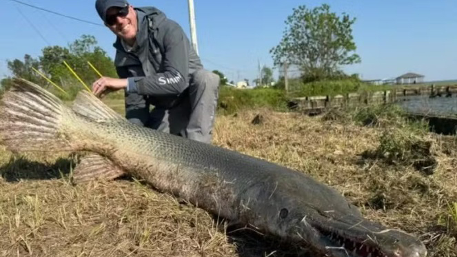 Imagem ilustrativa da notícia: Pescador fisga peixe de aparência pré-histórica de 70 quilos